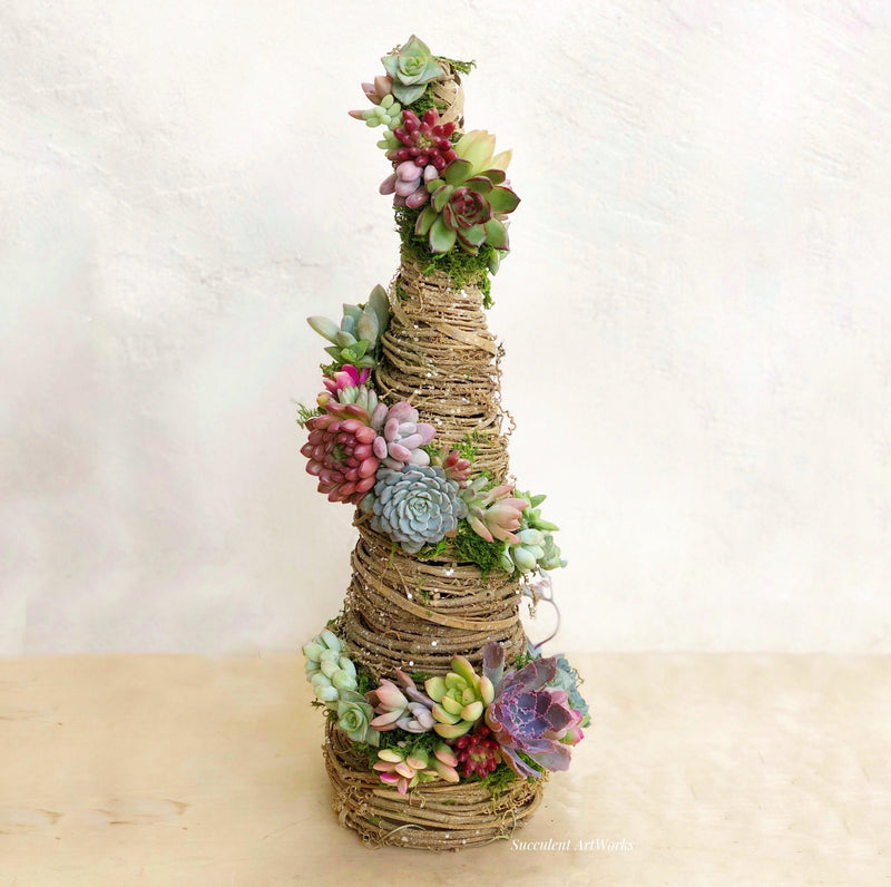 Grapevine Tree Trimmed with Succulents.