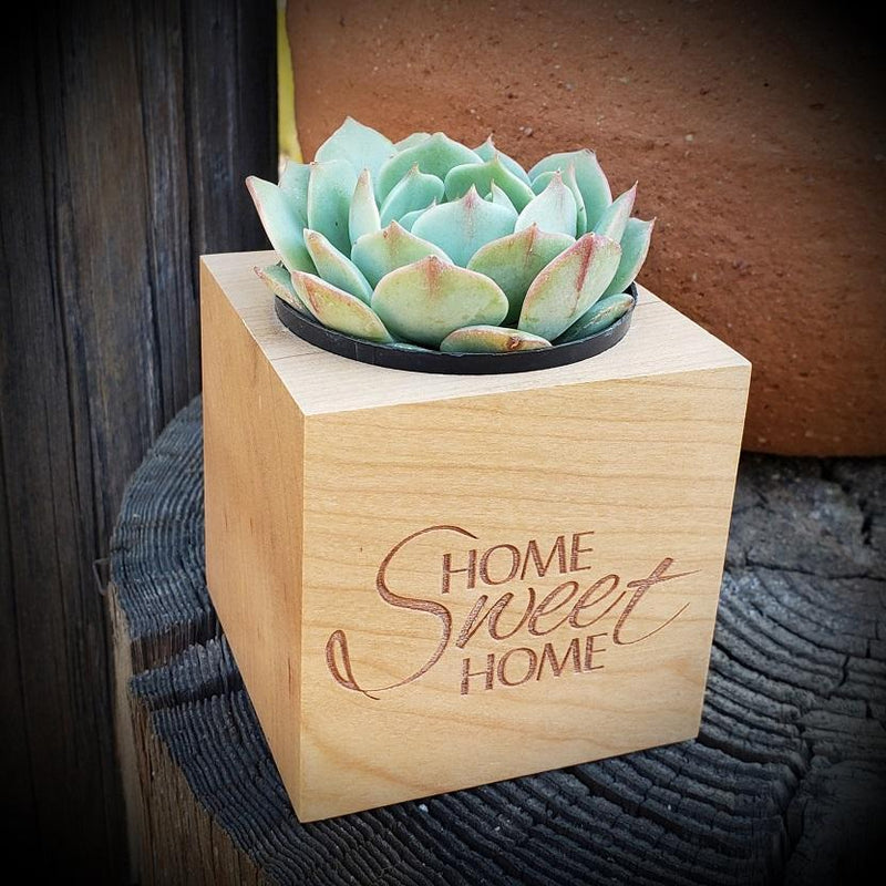 Home Sweet Home - Say It with Succulents-SayIt-The Succulent Source