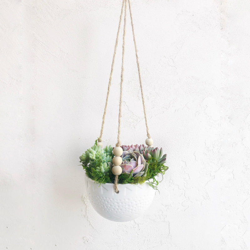 Lauren Hanging Planter Filled With Succulents.