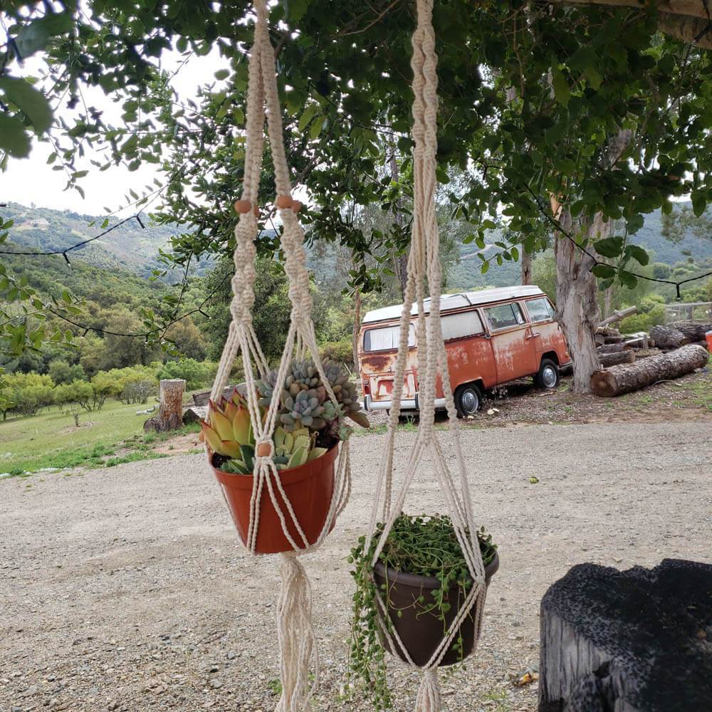 succulent hangers Macrame Hangers