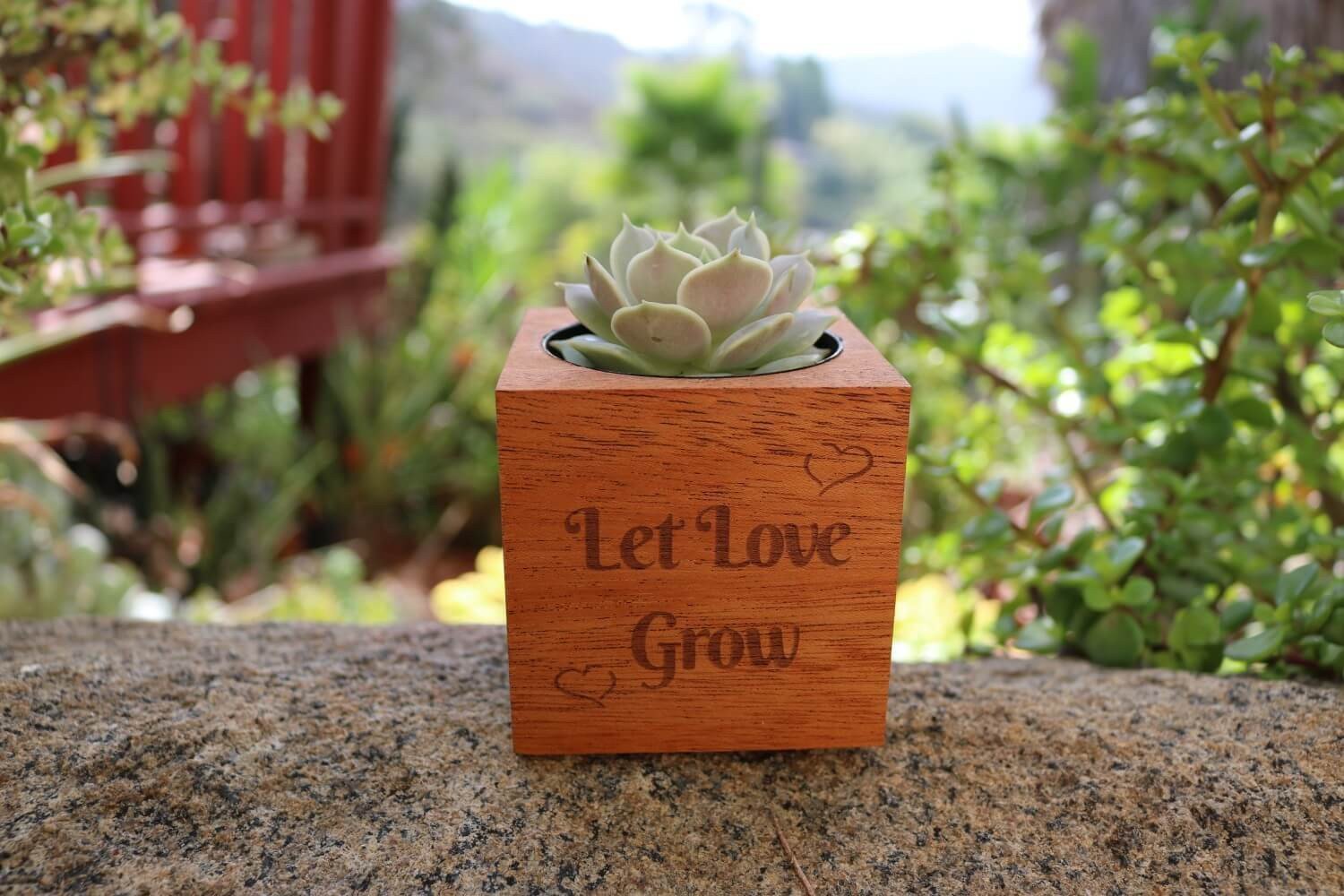 succulents for sale sign Send a Succulent Gift - Succulent Reclaimed