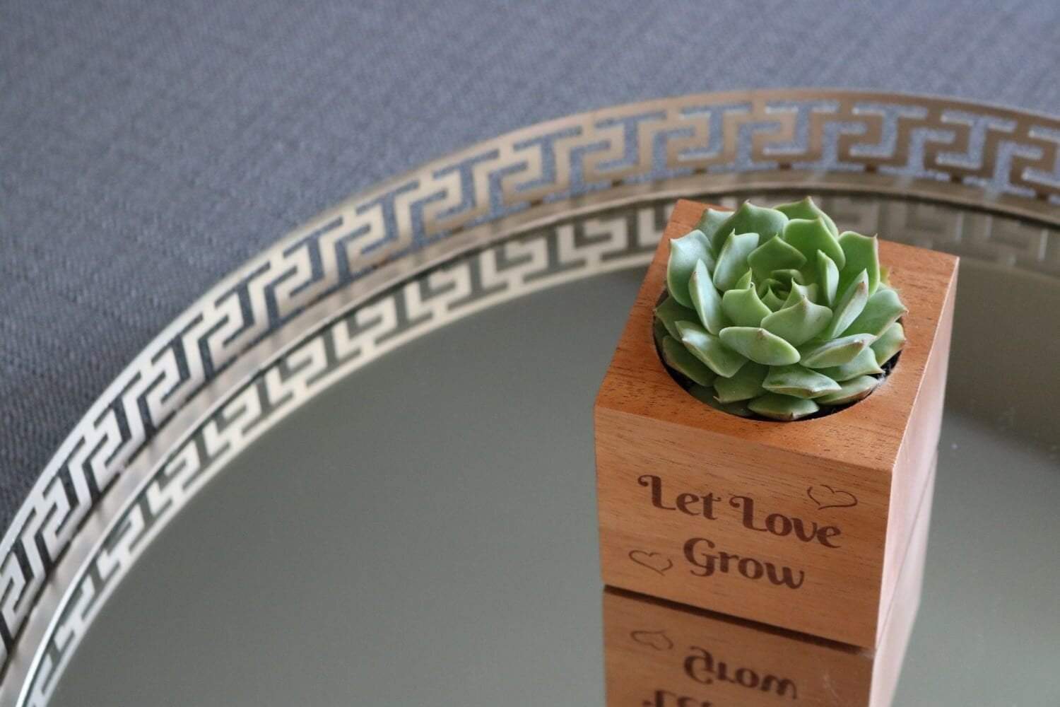 let love grow succulents Send a Succulent Gift - Succulent Reclaimed