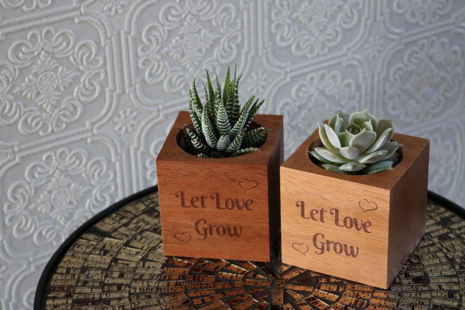 mail succulent gift Send a Succulent Gift - Succulent Reclaimed