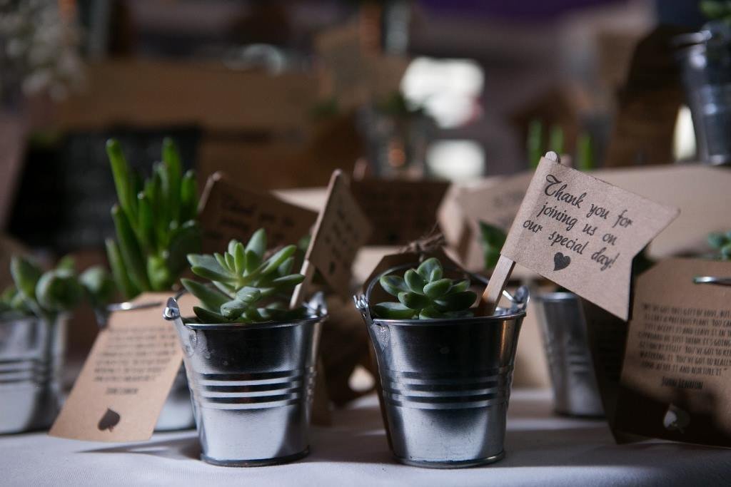 bulk succulent wedding favors Pails for Succulent Wedding Favors