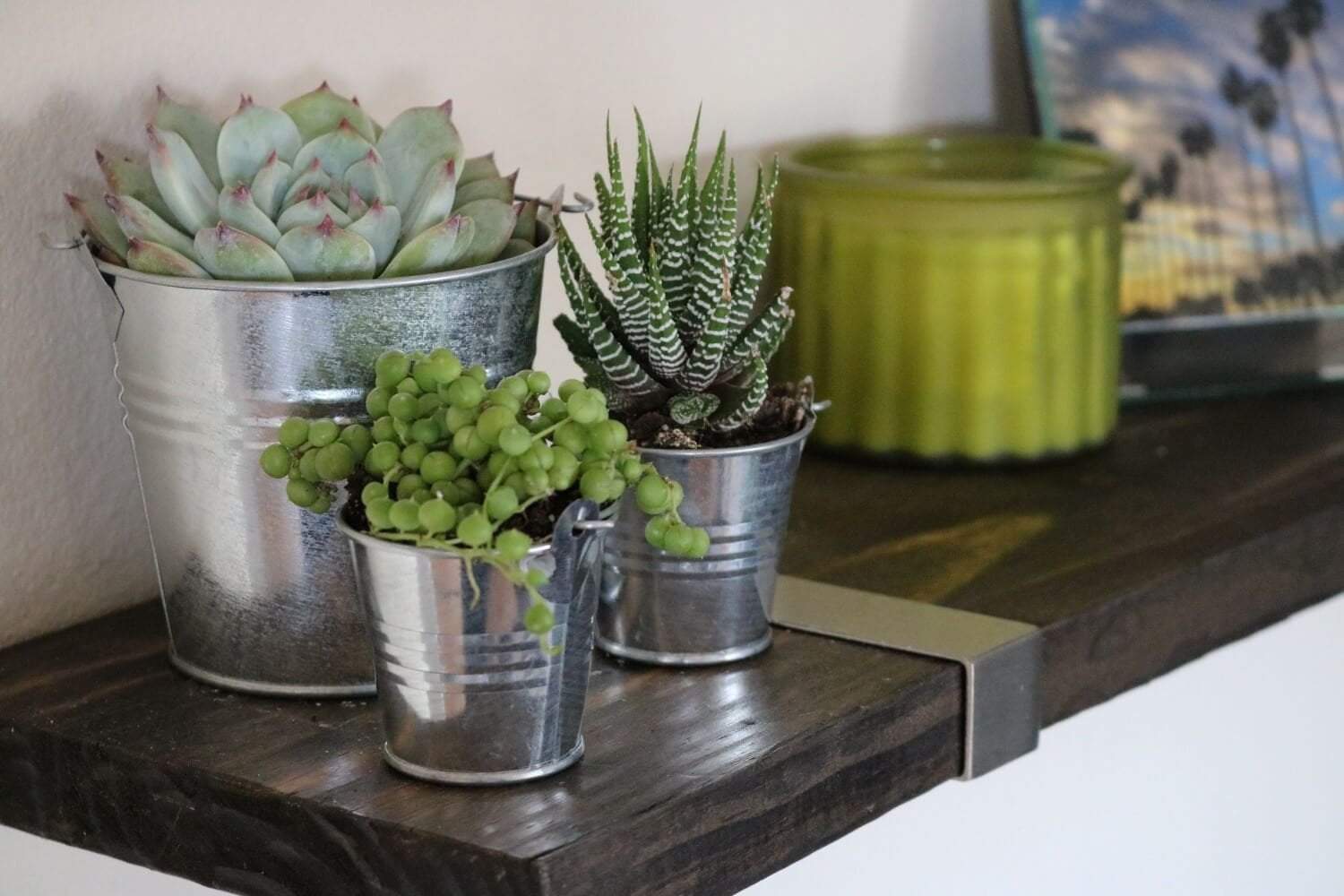 Metal Pails - Say It with Succulents bulk wholesale succulent prices at the succulent source - 4