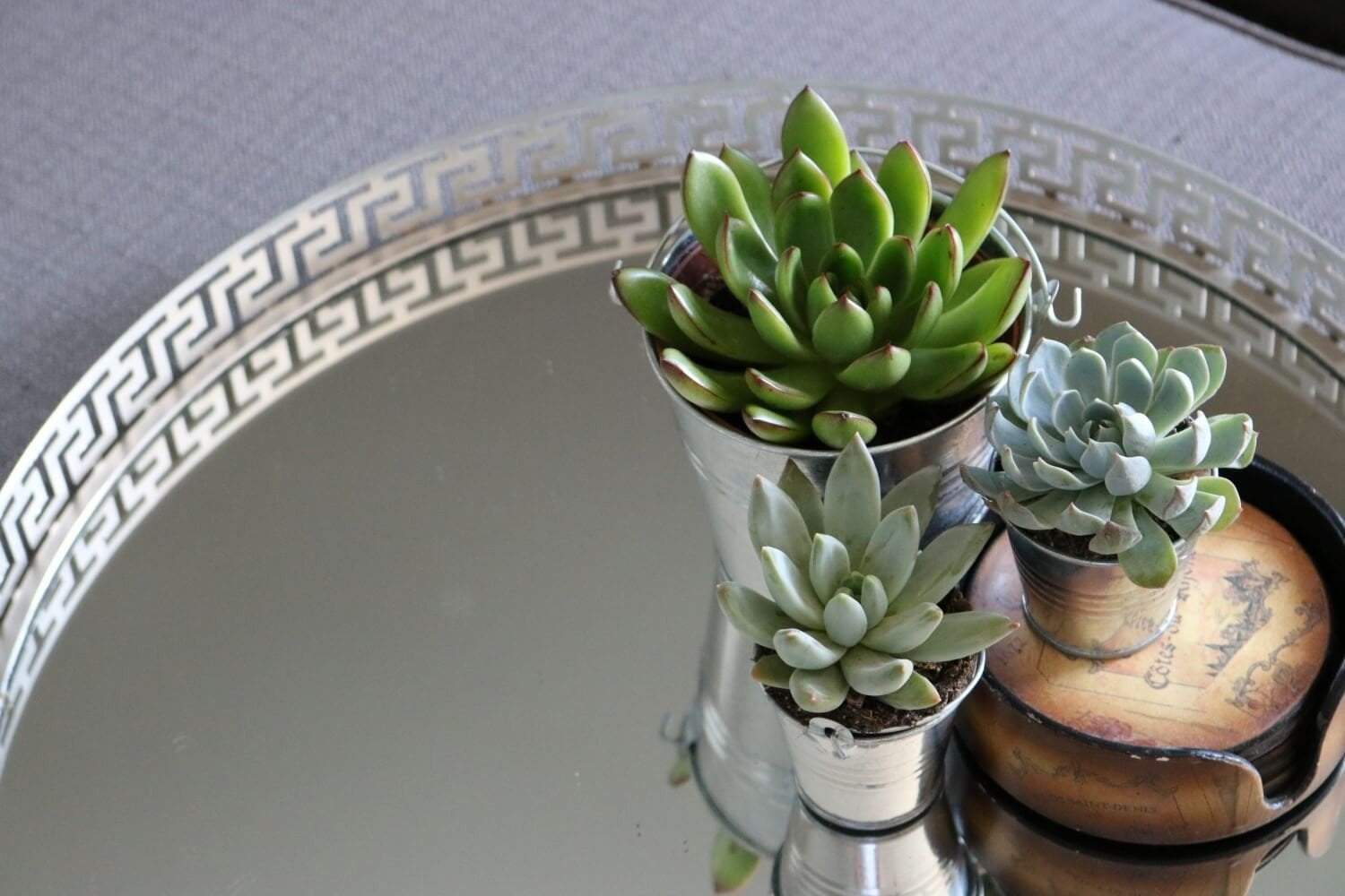 Metal Pails - Say It with Succulents bulk wholesale succulent prices at the succulent source - 6