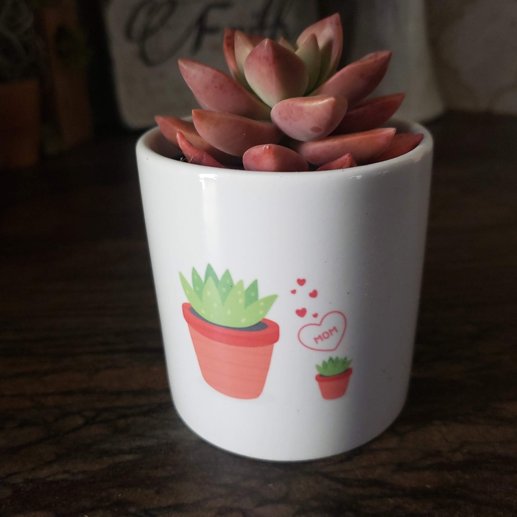 Mother's Day Succulent Pot-SayIt-The Succulent Source