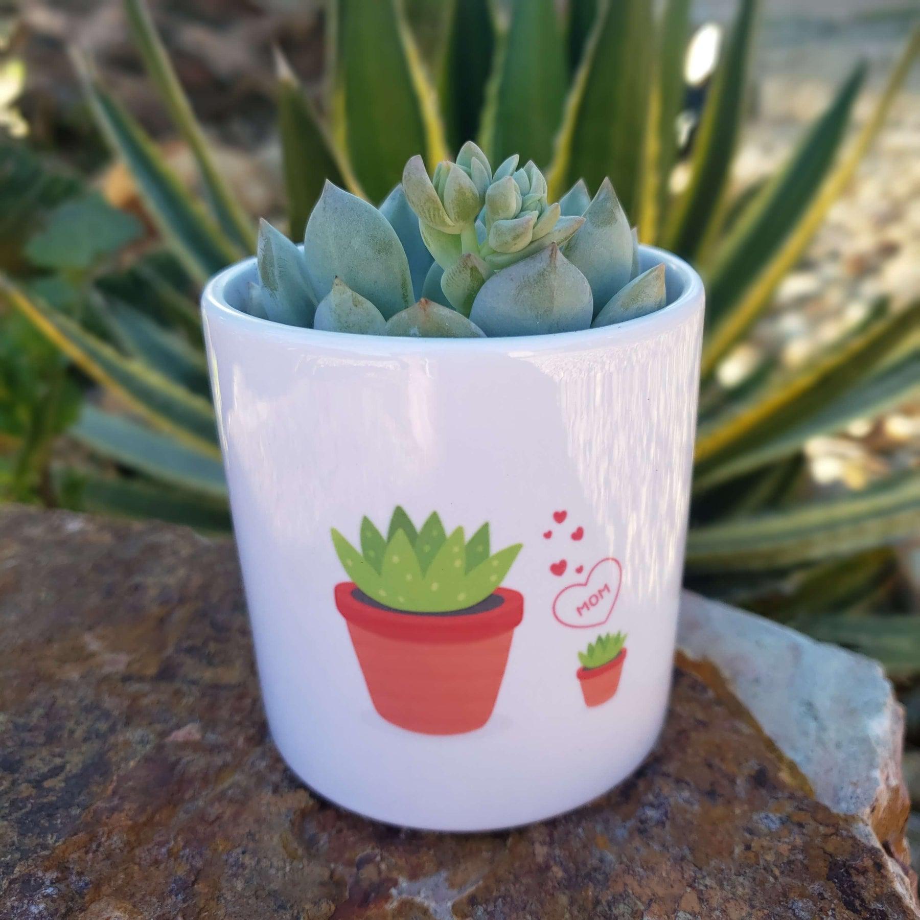 Mother's Day Succulent Pot-SayIt-The Succulent Source