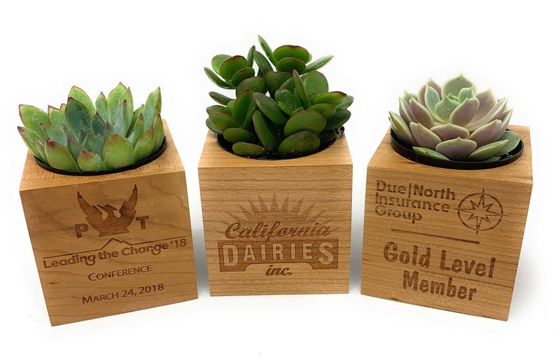 Etched Wood Cube-Succulent - Gift-The Succulent Source