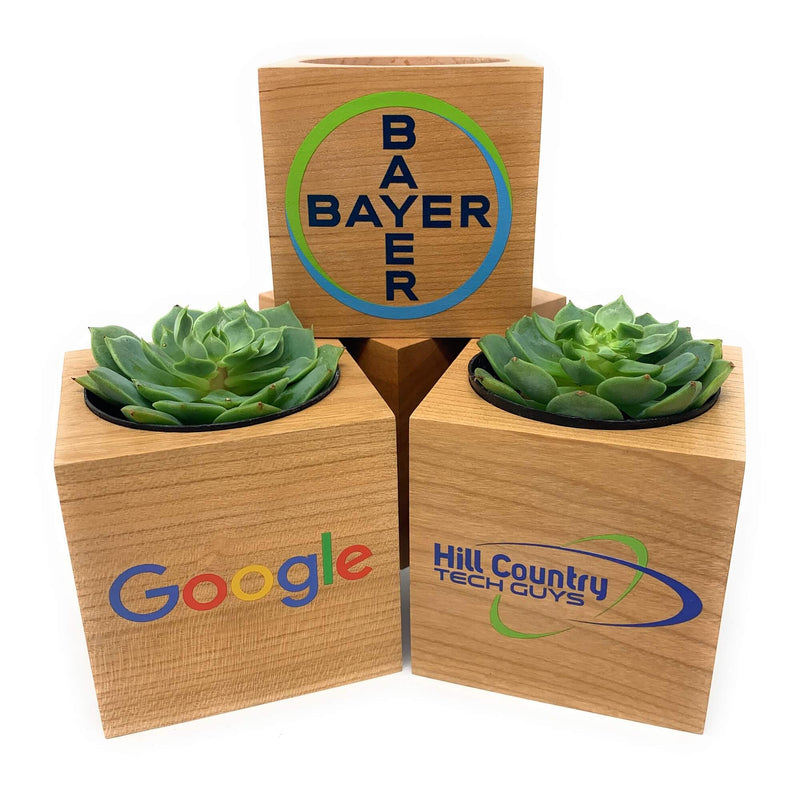 One Branded Wood Cube-Succulent - Corporate-The Succulent Source