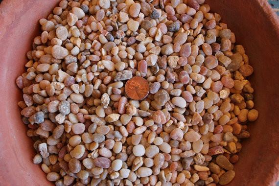 potting gravel for succulents Potting Gravel 3 lbs