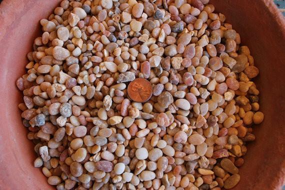 Colored Potting Gravel - Black Pearl or Salmon bulk wholesale succulent prices at the succulent source - 4