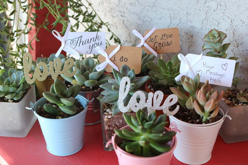 20 Favor Tags-Accessory-The Succulent Source