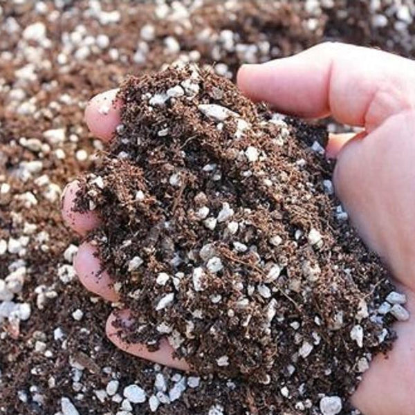 worm castings for succulents Soil, Pumice, Perlite, Worm Castings