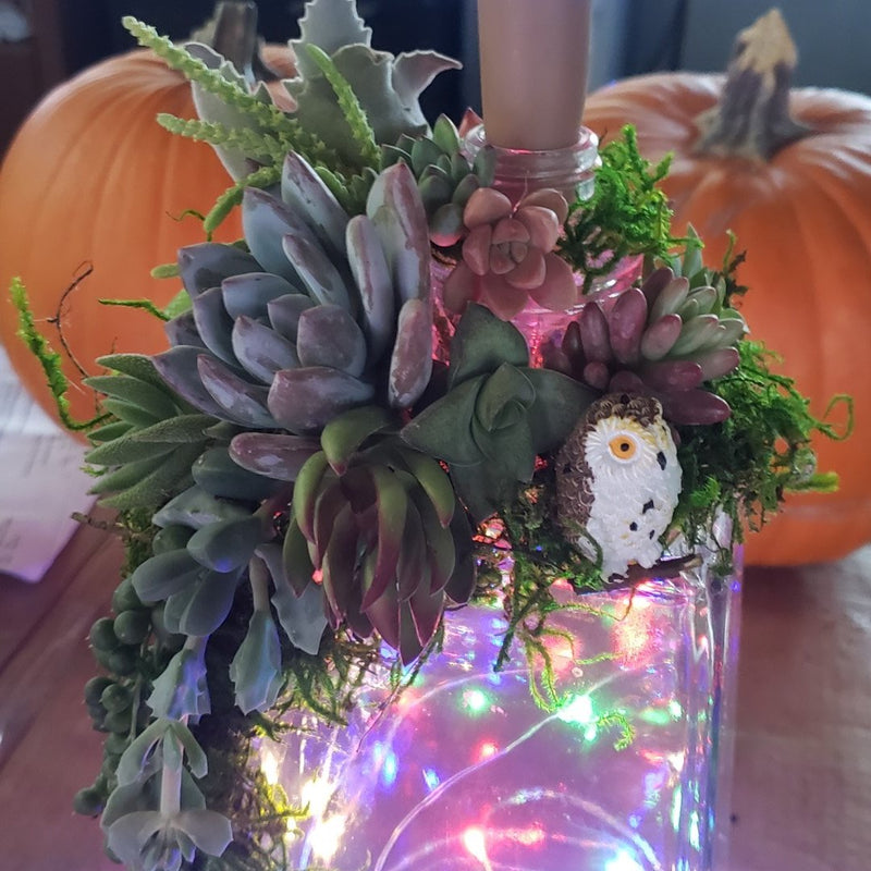 Succulent Christmas Decor "Everything but the Booze"-Succulent - Cutting-The Succulent Source