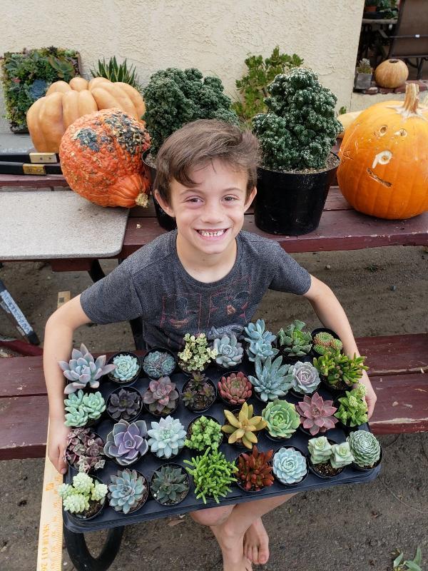succulent teens Succulent Specials hand picked by Justus, Leah & Beau