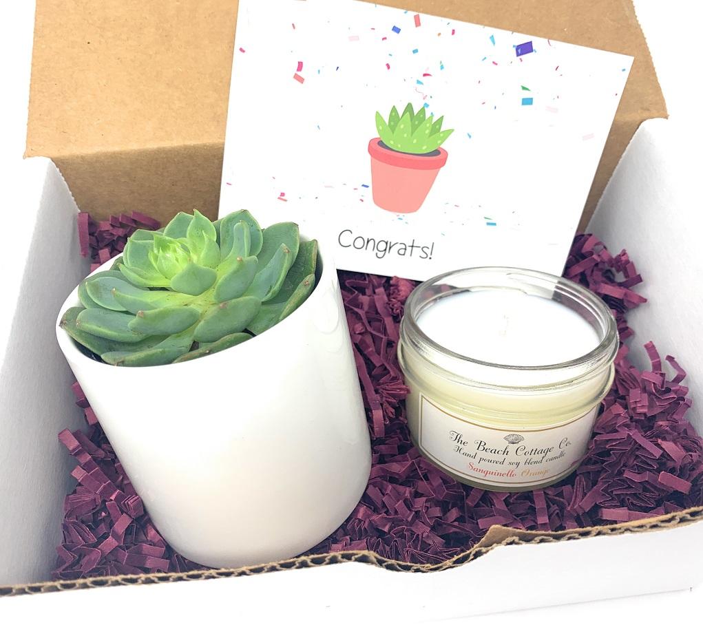 candle jar succulents Send a Succulent Gift - Succulent Candle Gift Box