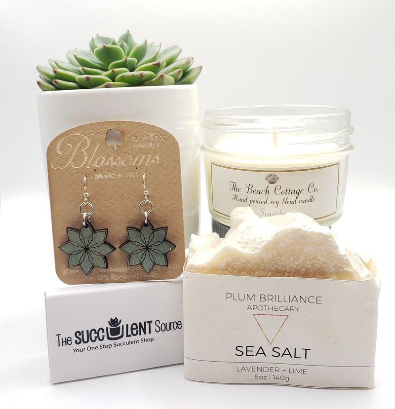 Succulent and Candle Gift Box-SayIt-The Succulent Source