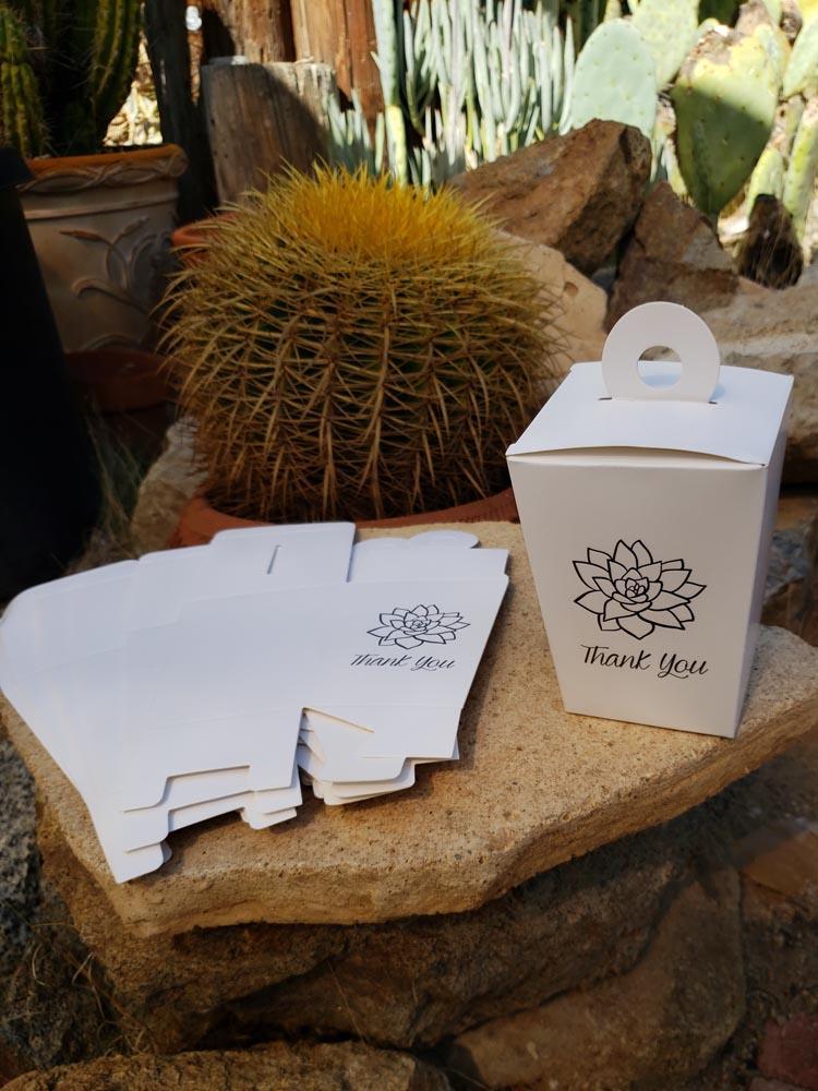 succulents box shipping To-Go Box