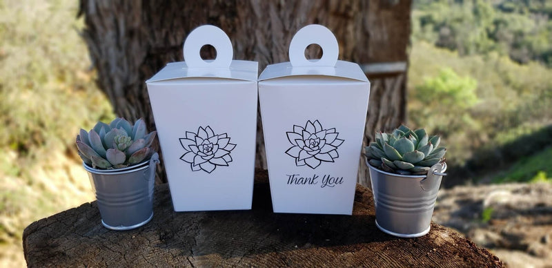 Guest Travel Box - To Go Box-Accessory-The Succulent Source