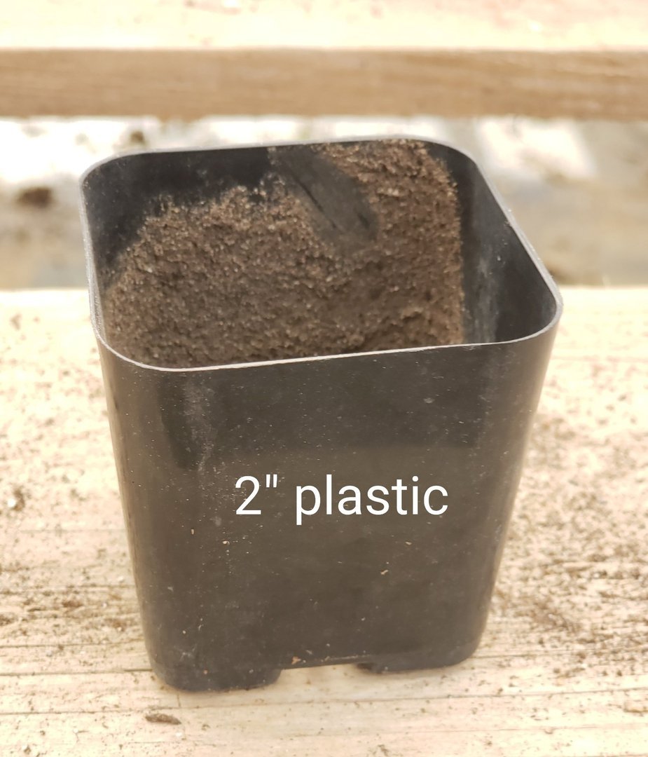 Used Plastic Containers-Accessory-The Succulent Source