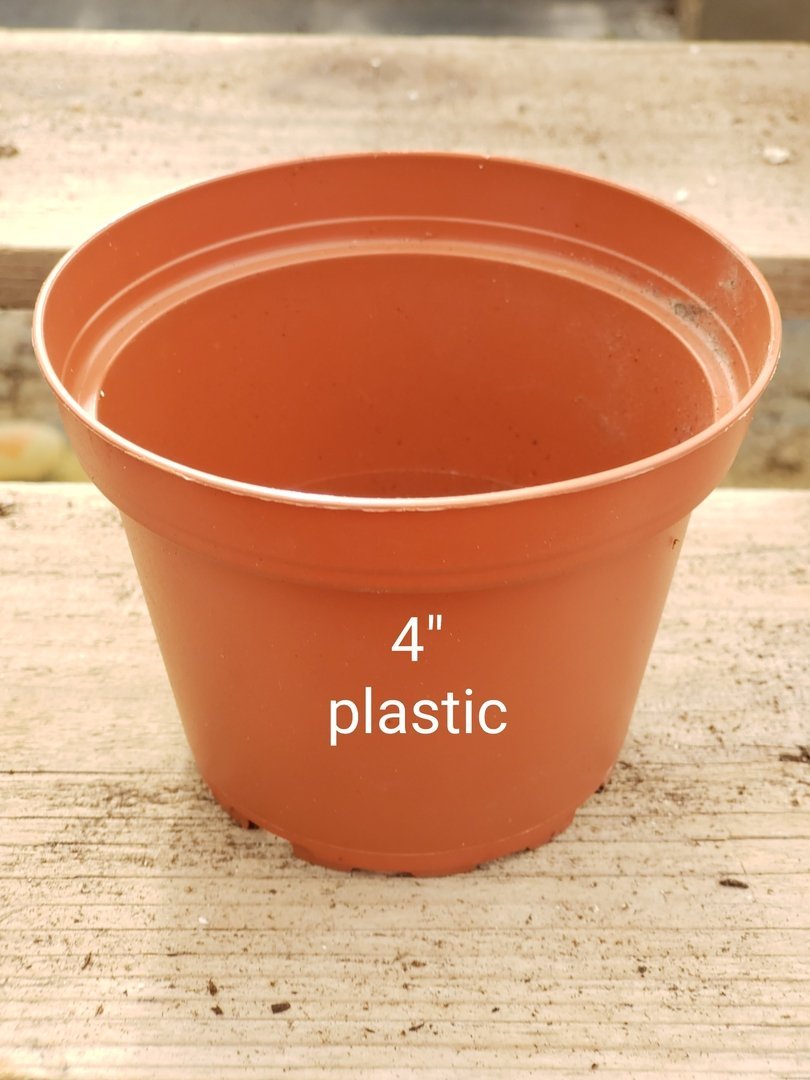 Used Plastic Containers-Accessory-The Succulent Source