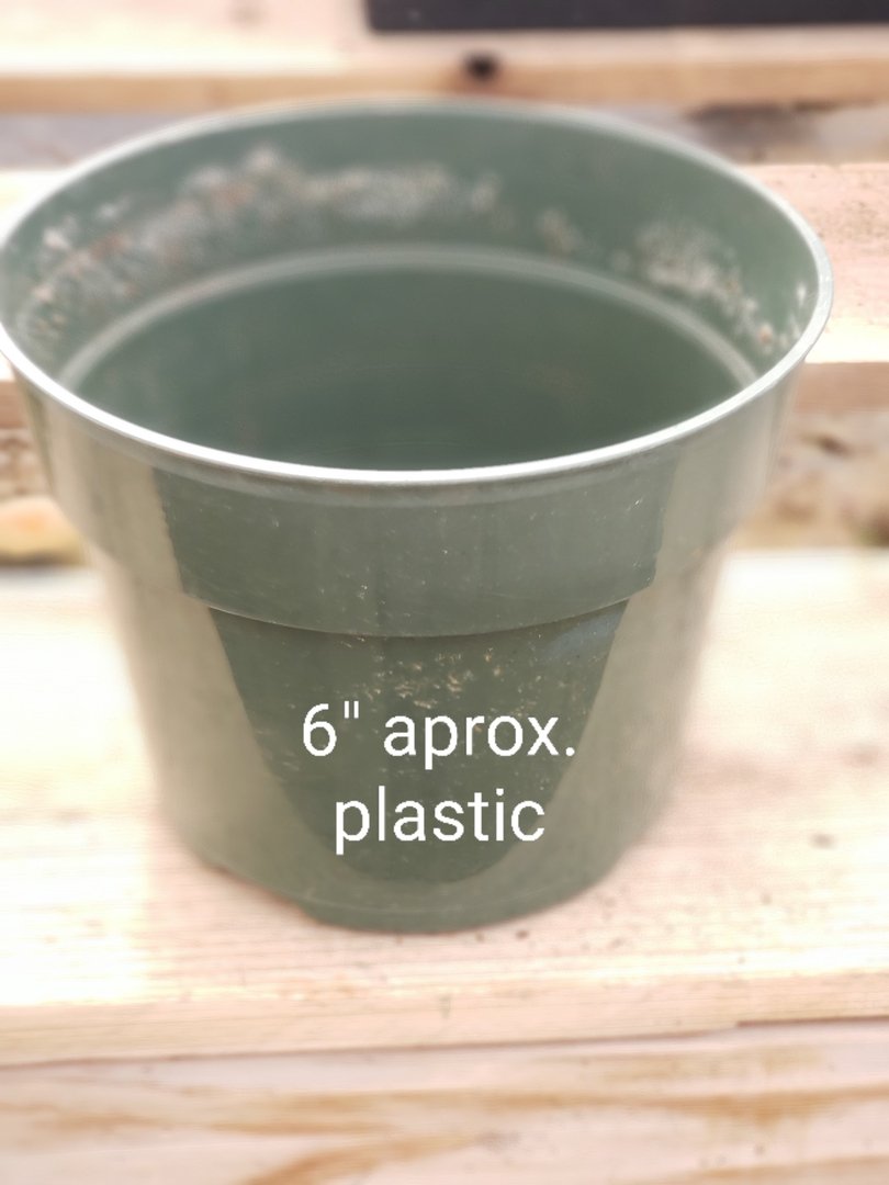 Used Plastic Containers-Accessory-The Succulent Source