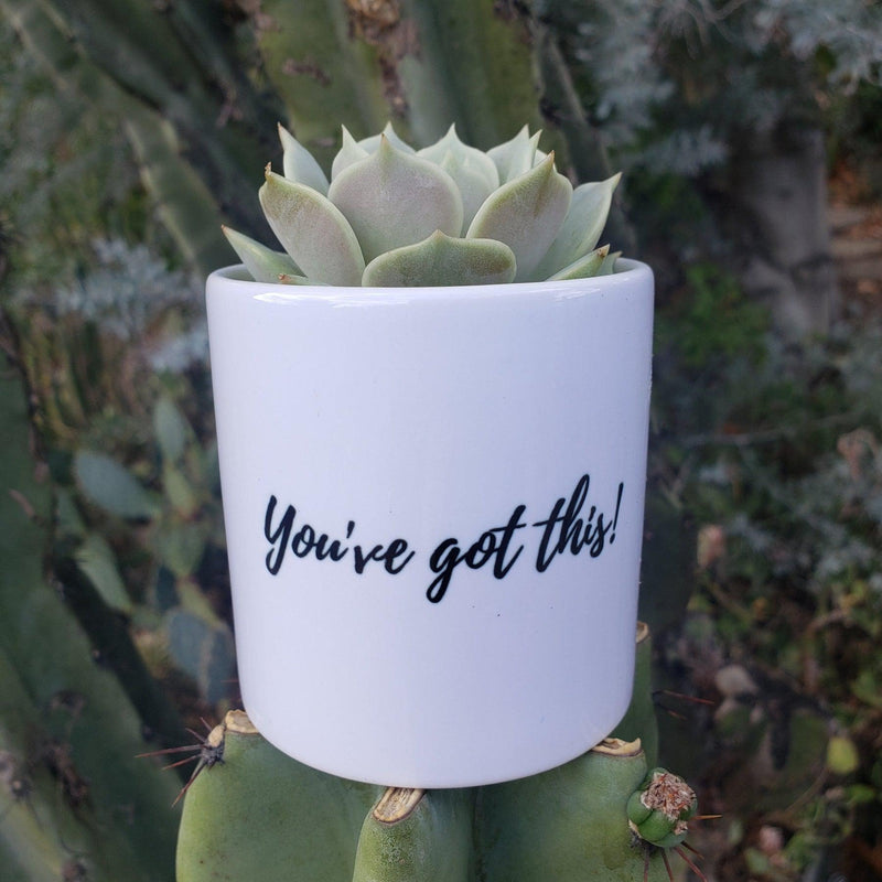 "You've Got This!" Succulent Gift-SayIt-The Succulent Source
