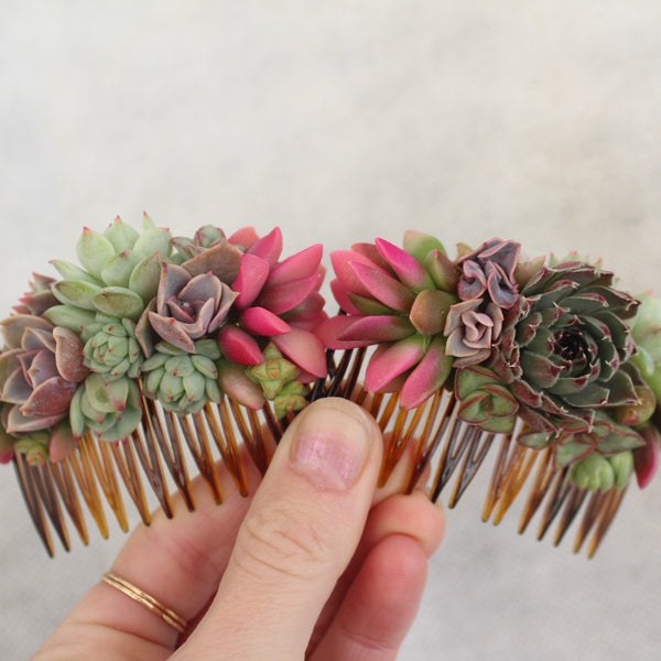 succulent hair co Succulent Comb