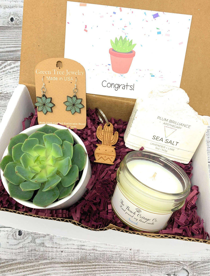 Succulent and Candle Gift Box