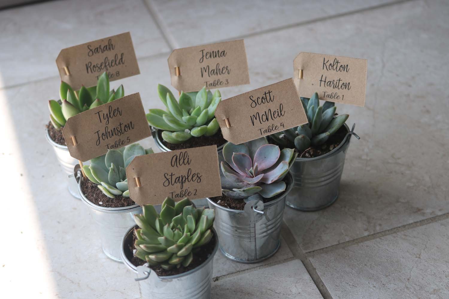 succulent escort cards Custom Name Table Escort Tags