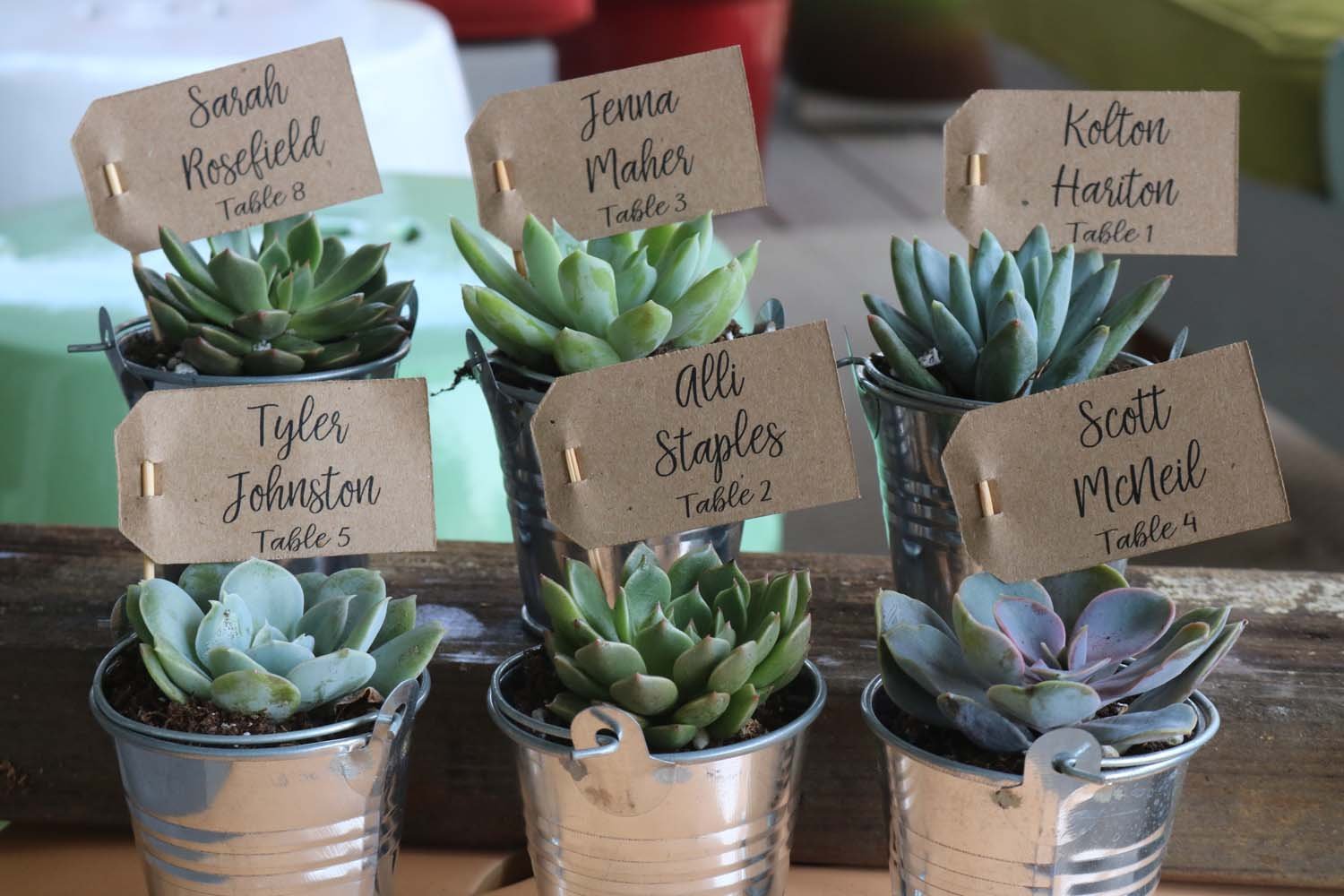 succulent flags Custom Name Table Escort Tags
