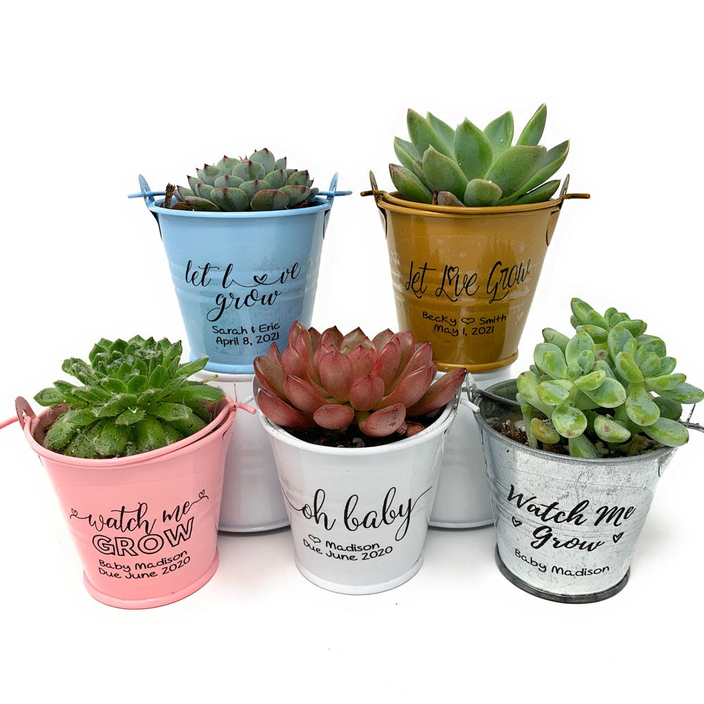 succulent stickers michaels 18 Custom Favor Pot Stickers for Succulents